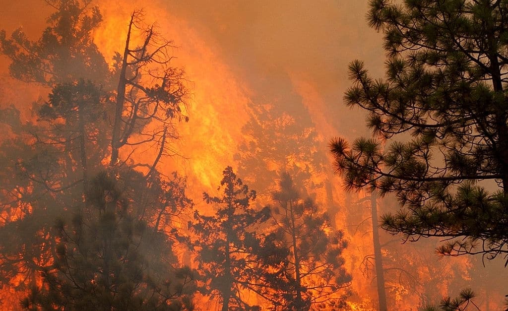 Mass Fatality Incident: Preparation for wildfire in Oregon