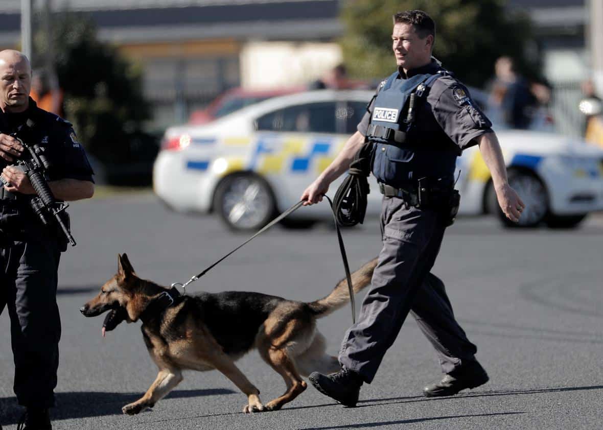 No one is accountable when police dog bite