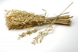 Oat Straw