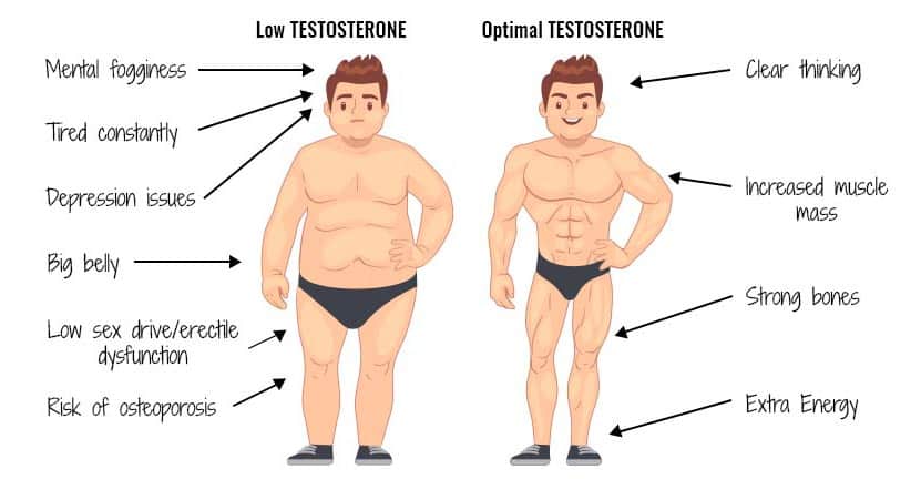 Testogen-to-boost-testerone