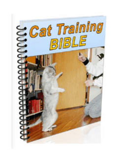 Bonus #1 Cat Training Bible-Cat Spraying No More Reviews