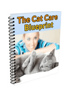  Bonus #3 The Cat Care Blueprint