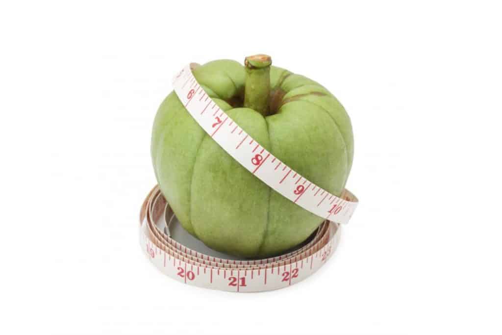 Garcinia Cambogia 