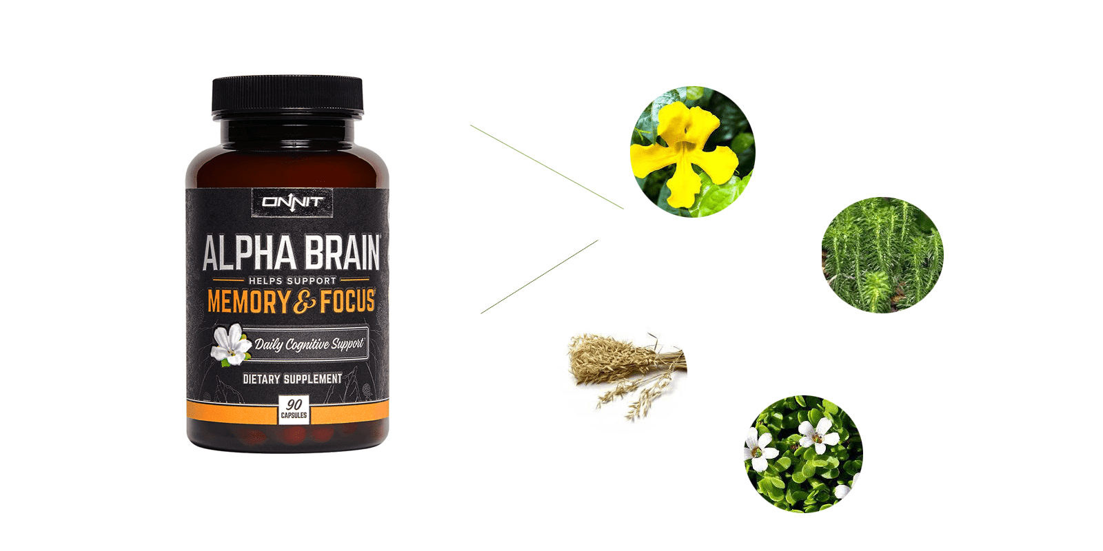 Onnit Alpha Brain Supplement ingredients