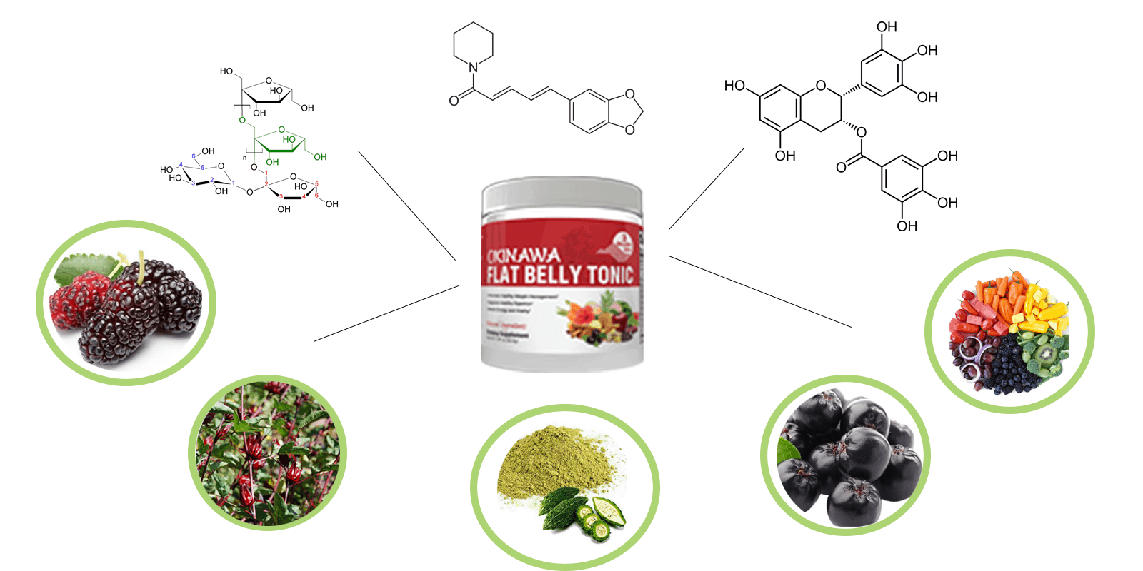 Okinawa-flat-belly-tonic-ingredients