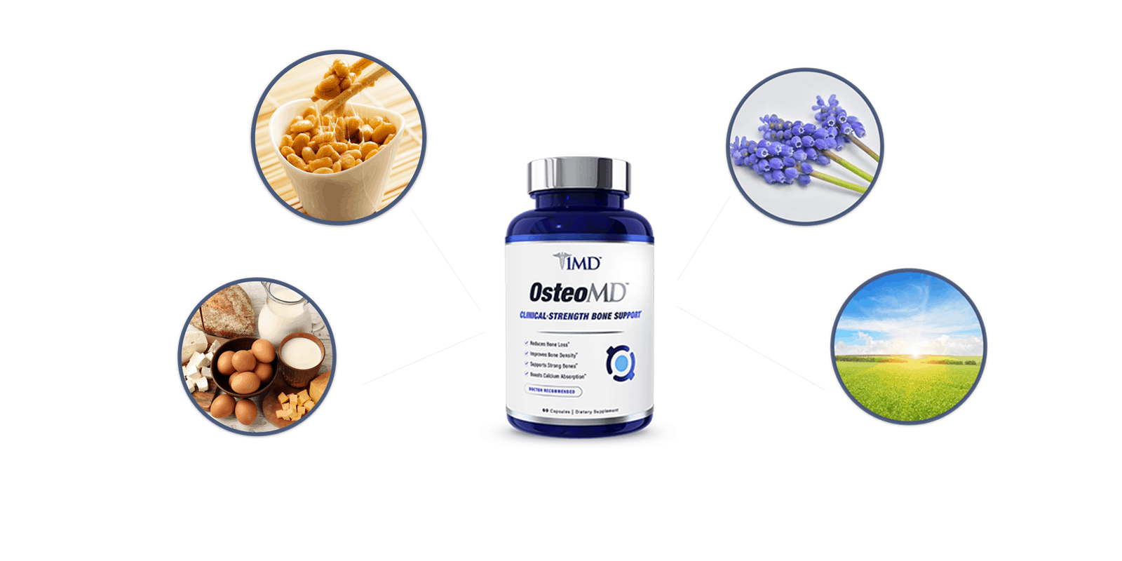 OsteoMD ingredients