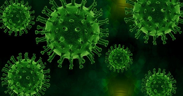 Will The Pandemic Go Away?