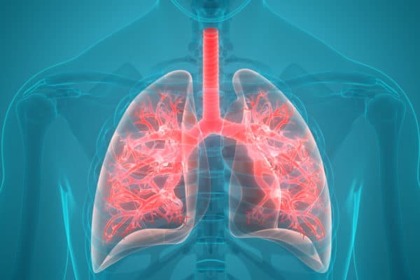 Methylmalonic Acidemia Patients Have A Newly Developed Breath Test