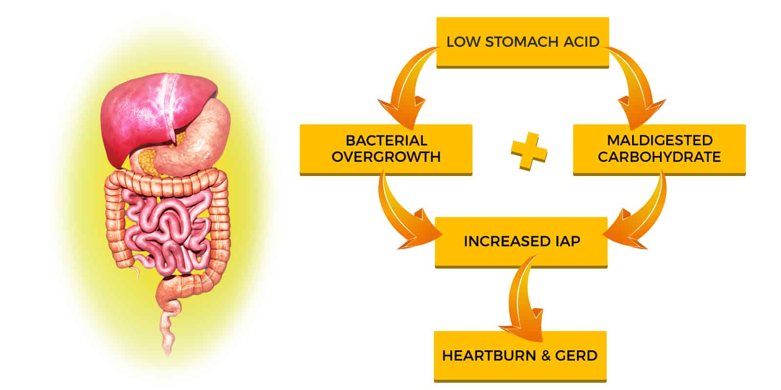 Acid Reflux
