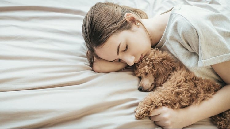 Bedtime With A Pet Will Not Have A Negative Impact On The Sleep Quality Of Children