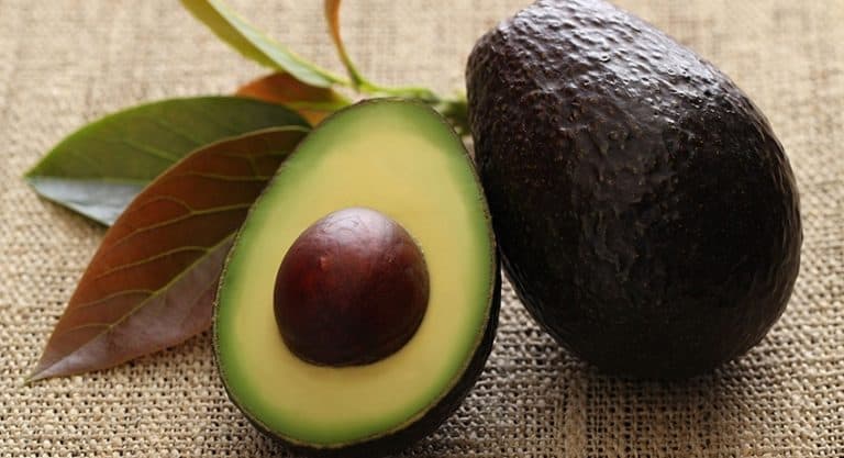 Avocados Have Health Benefits