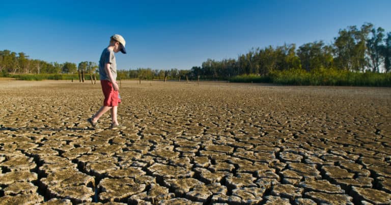 Climate Changes Are Causing Deaths Due To Increase In Temperature