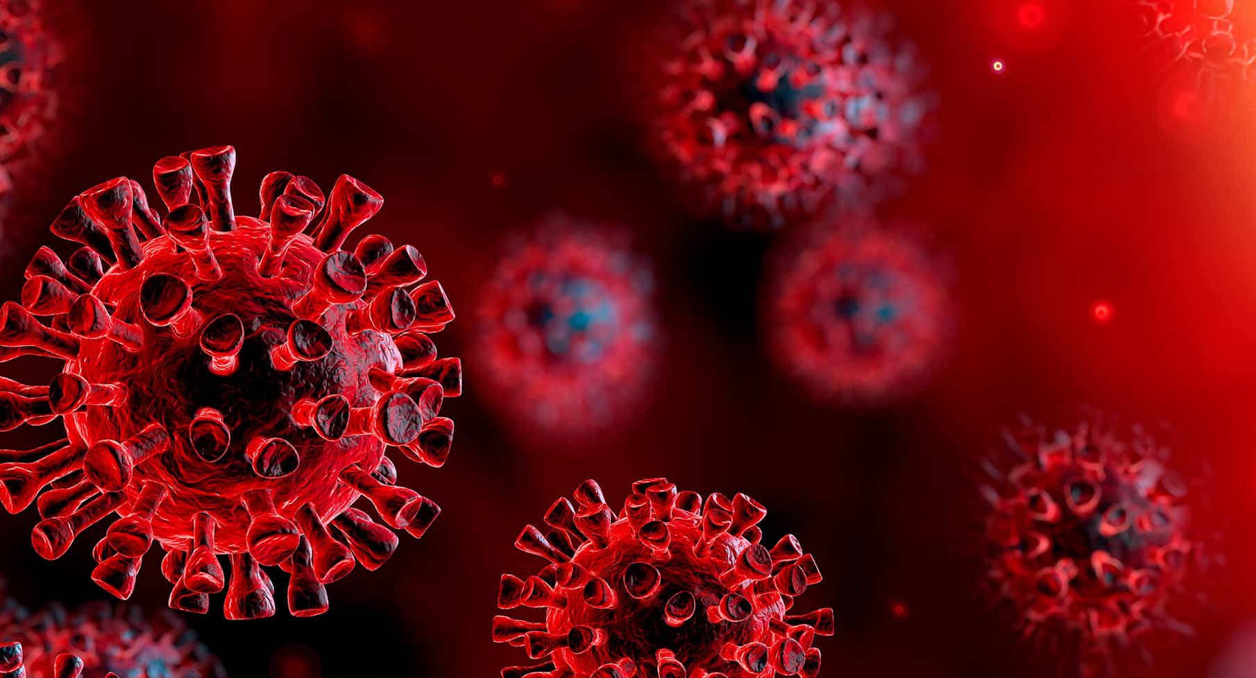 Coronavirus Infections In Animals May Be More Widespread Than Previously Considered