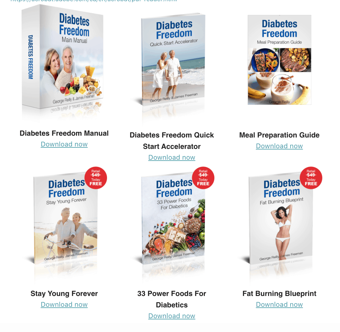 Diabetes Freedom main manual