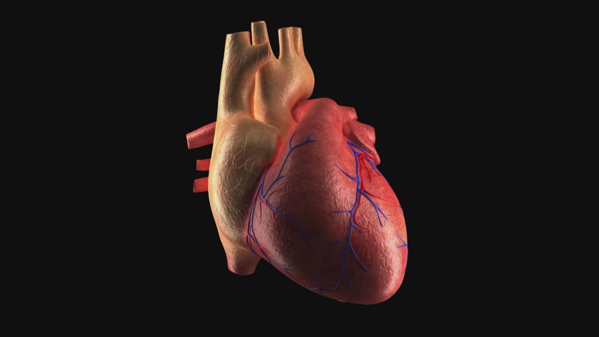 There Is A Sign That Heart Inflammation And Coronavirus Are Connected