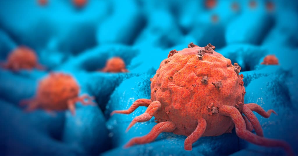 To Hold-On Cancer Cells Consume Themselves