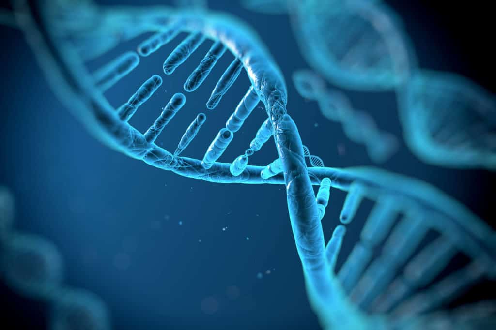 Study Reveals Melanoma DNA Mutation Source