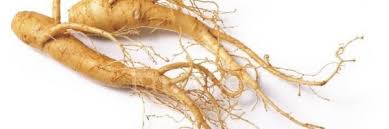 Alpha Edge Male Enhancement Ingredient-Ginseng Blend