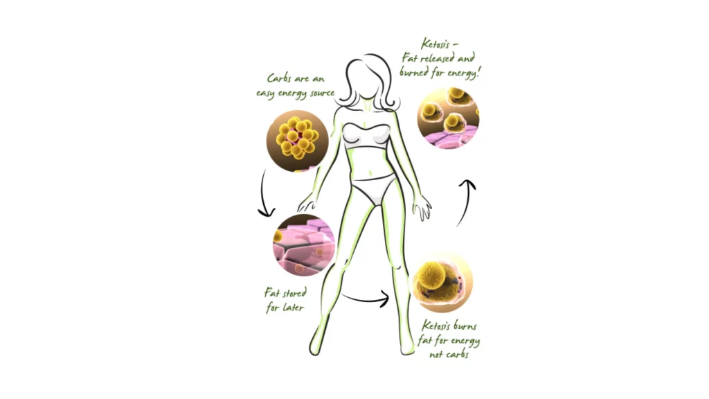 AthletePharm Keto Formula Benefits 