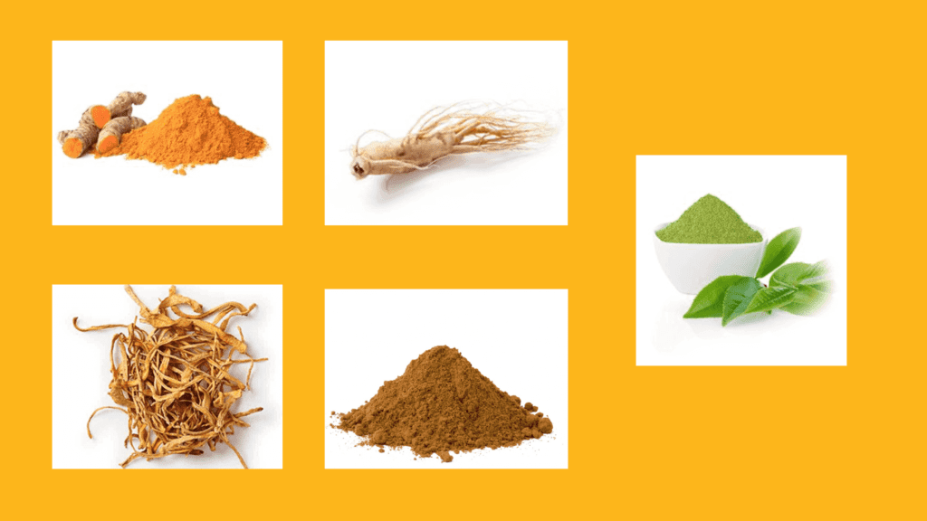 Spore Metabolic Boost Ingredients