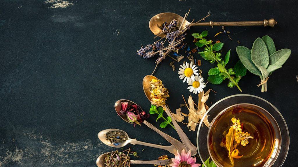 Women In West Virginia Are Looking To Share Their Experience Of Herbal Remedies Via Sacred Roots'