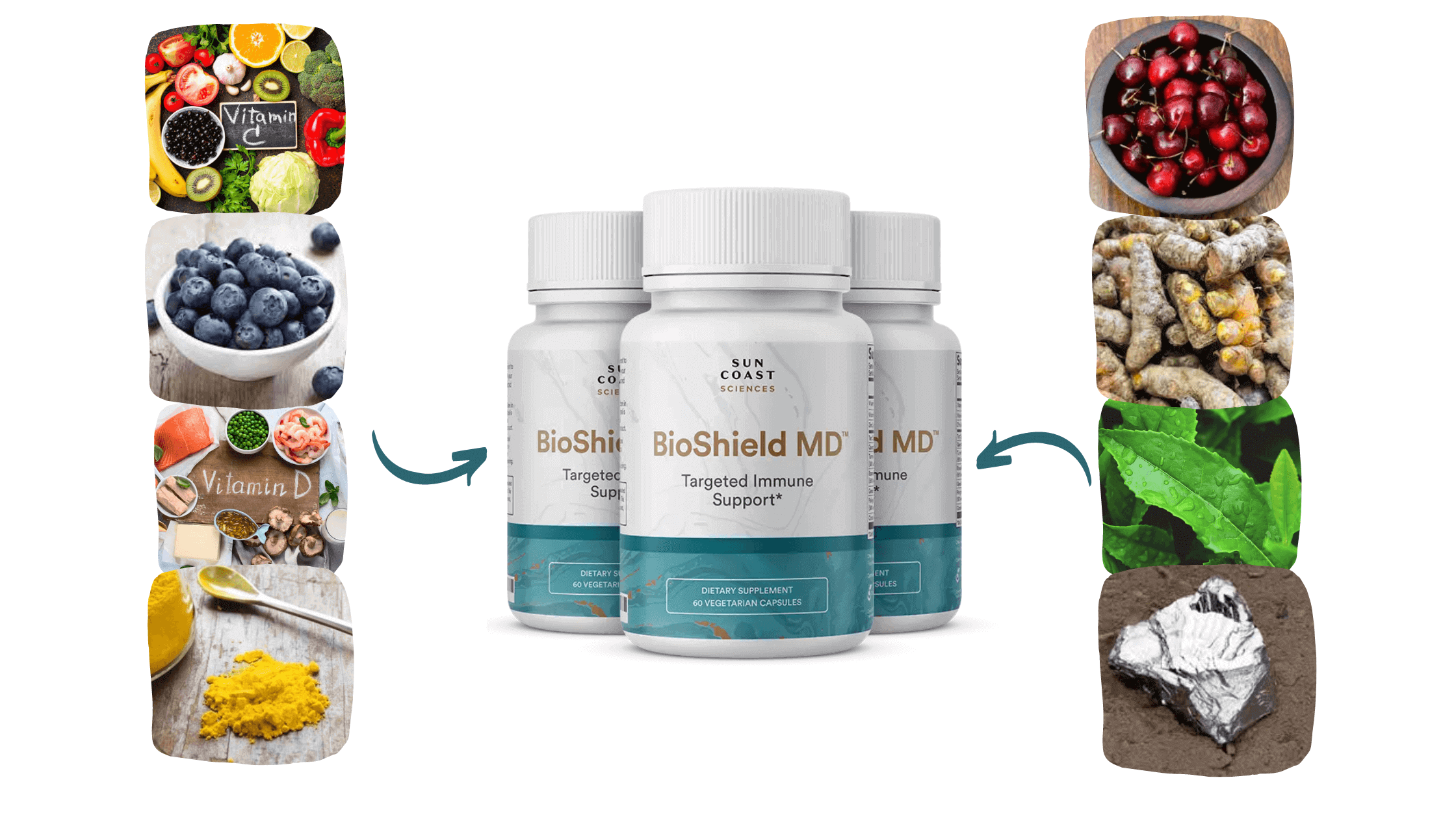 BioShield MD Ingredients