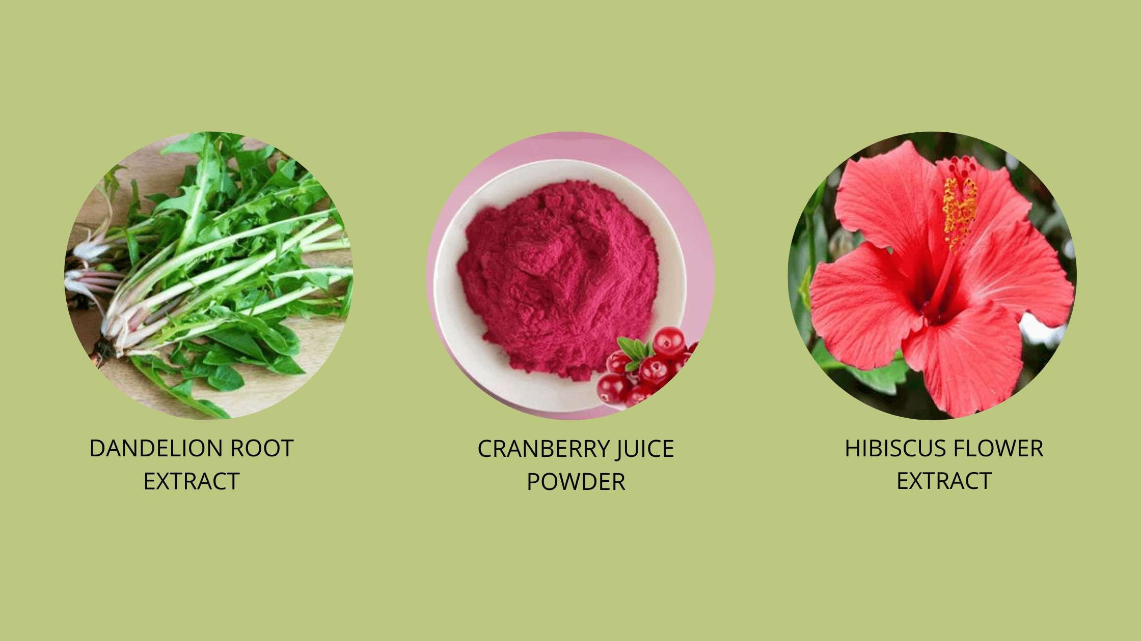 Bladder Relief 911 Ingredients