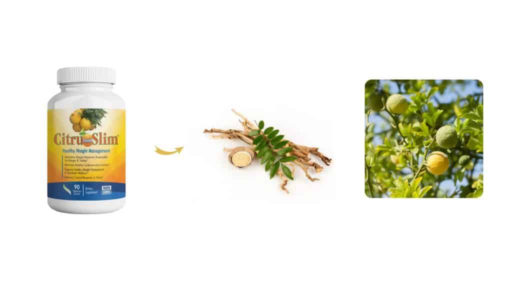  CitruSlim Ingredients