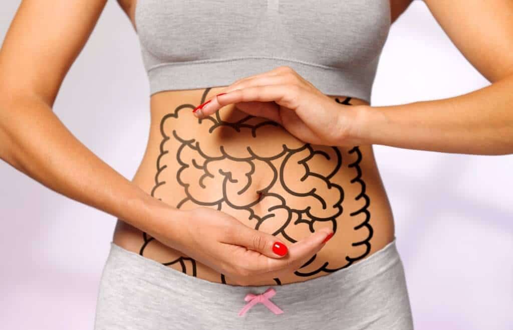 How SynoGut Enhances Digestive Issues For Adults’ Healthy Digestion?