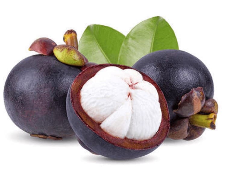 Lanta Flat Belly Shake Ingredient Mangosteen