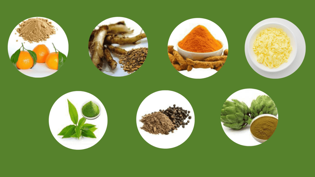 LivLean Ingredients