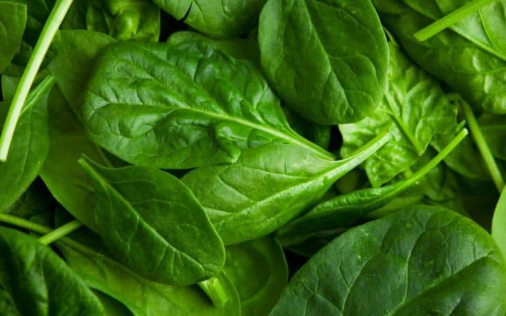Man Greens Ingredient 5 Spinach