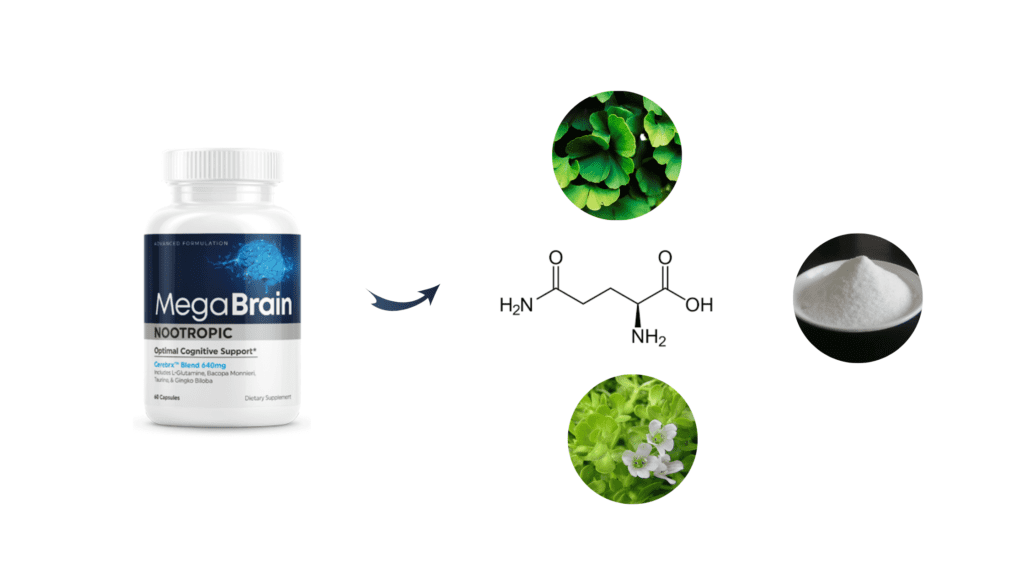 MegaBrain Nootropic Ingredients