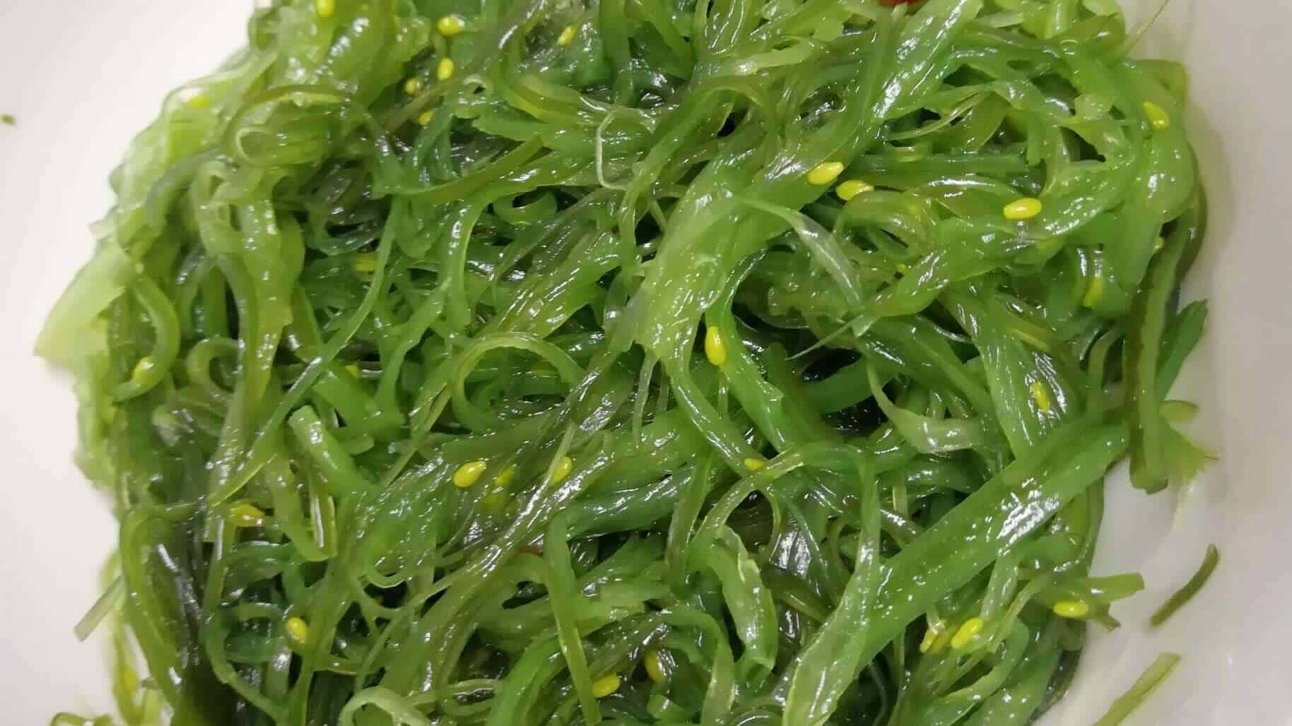 Mitoboost ingredient 7  Wakame