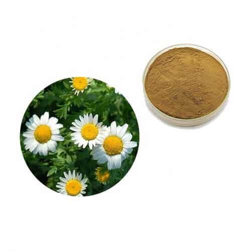 Nerve Renew Ingredient 4-Feverfew Extracts