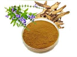 Nerve Renew Ingredient 7-Skullcap Extract