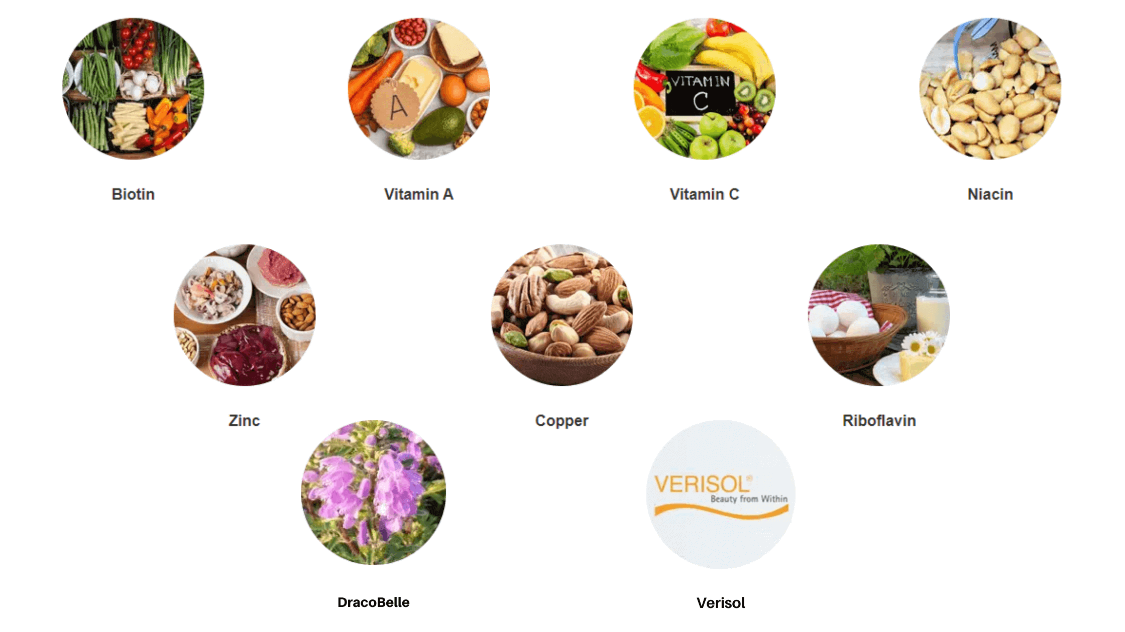 Collagen Select Ingredients