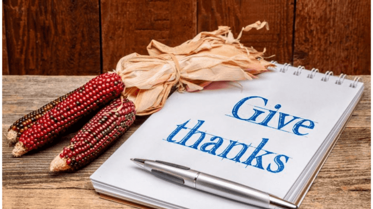 Cultivate Thankfulness With These Practices  