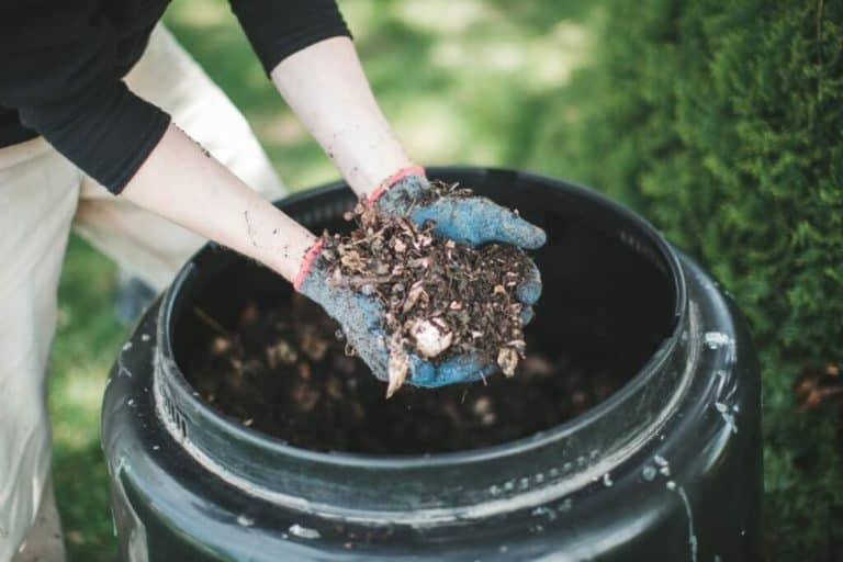 Death Goes Green With Human Composting-Colorado Approved