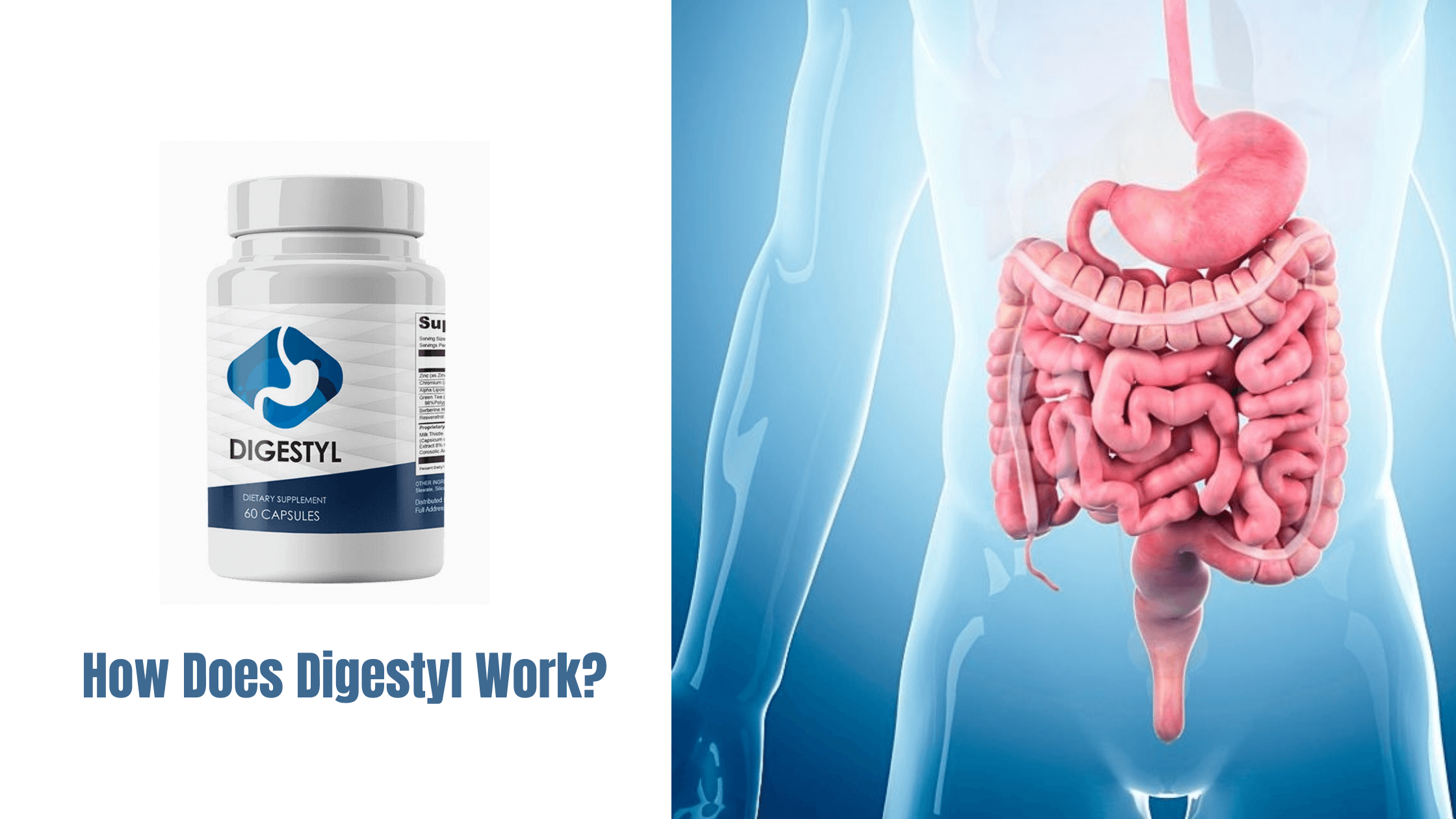 Digestyl Working