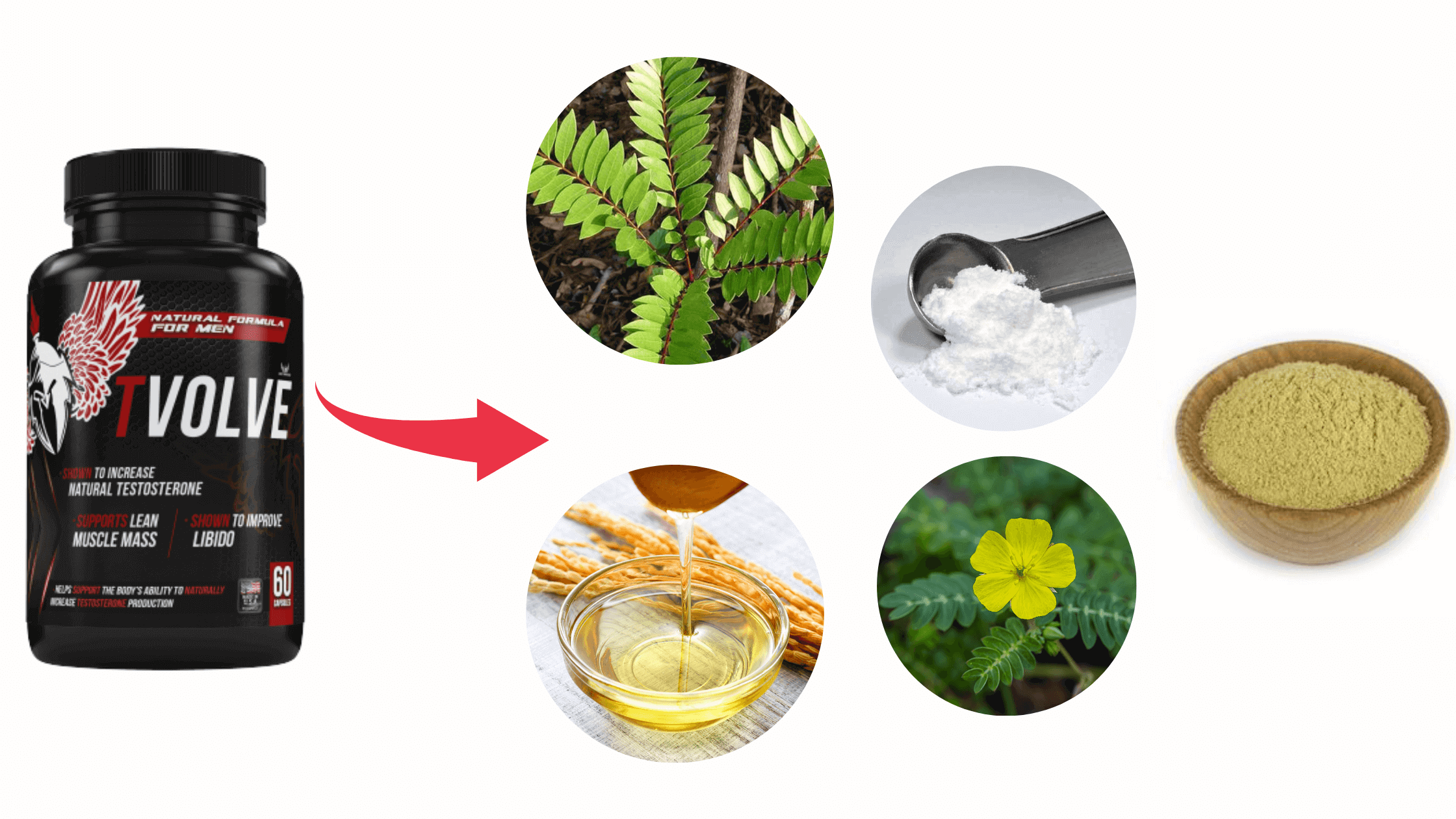 TVolve GT5 Muscle Complex Ingredients