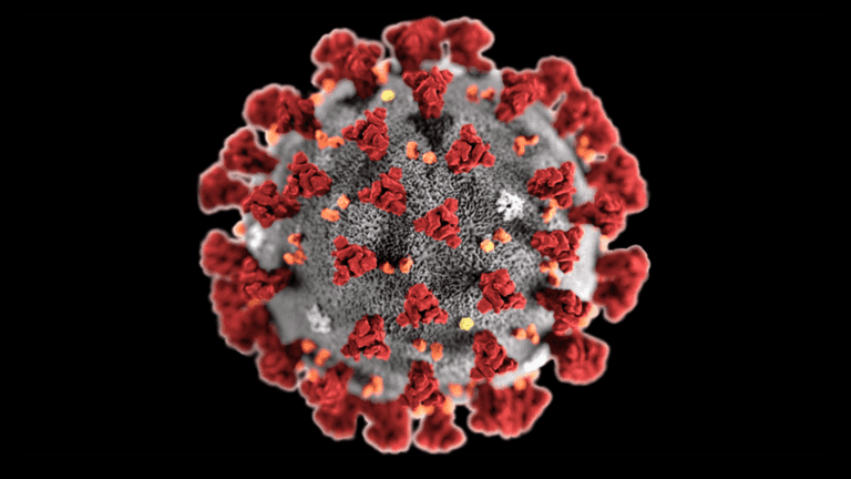 The Coronavirus Has Killed About 2% Of The World’s Population