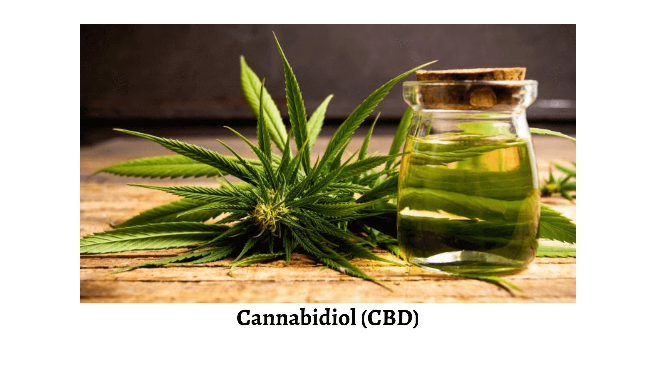 Cannagenix CBD Oil Ingredient