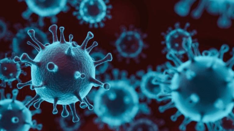 Fat Cells Hiding The Coronavirus? According To Study