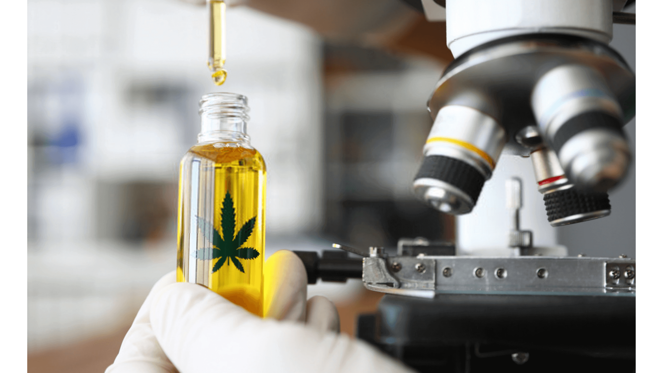 Green Galaxy CBD Gummies Laboratory testing