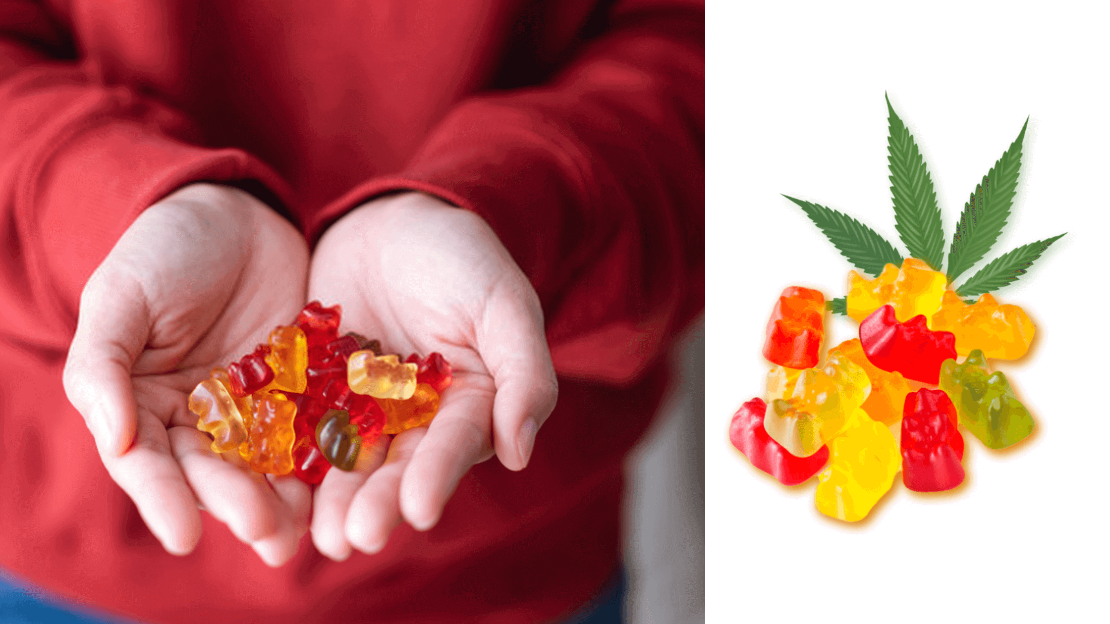 Green Galaxy CBD Gummies