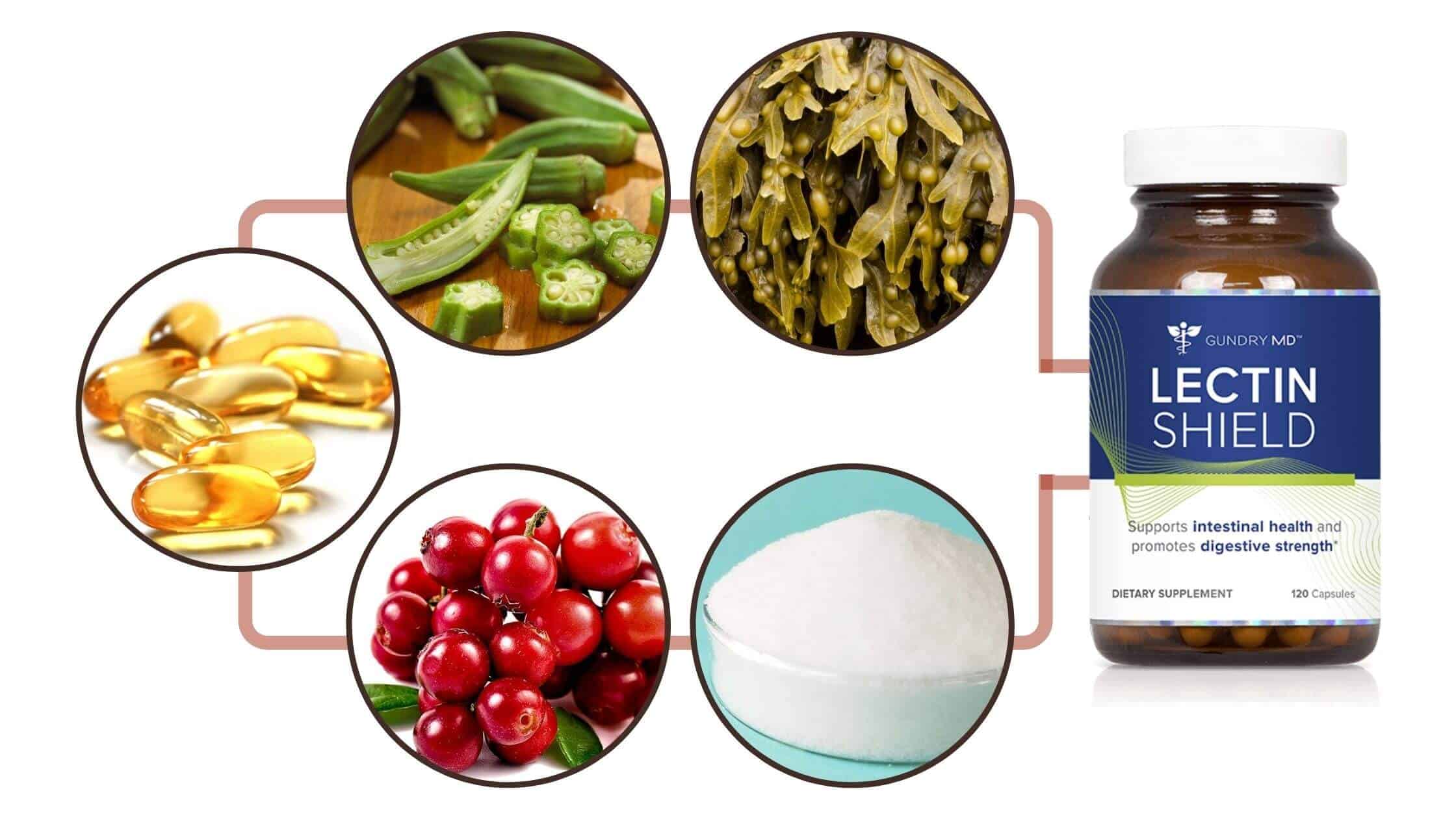 Lectin Shield Ingredients