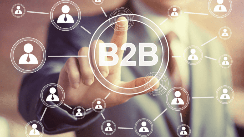 Marketing Strategies For B2C- Ecommerce