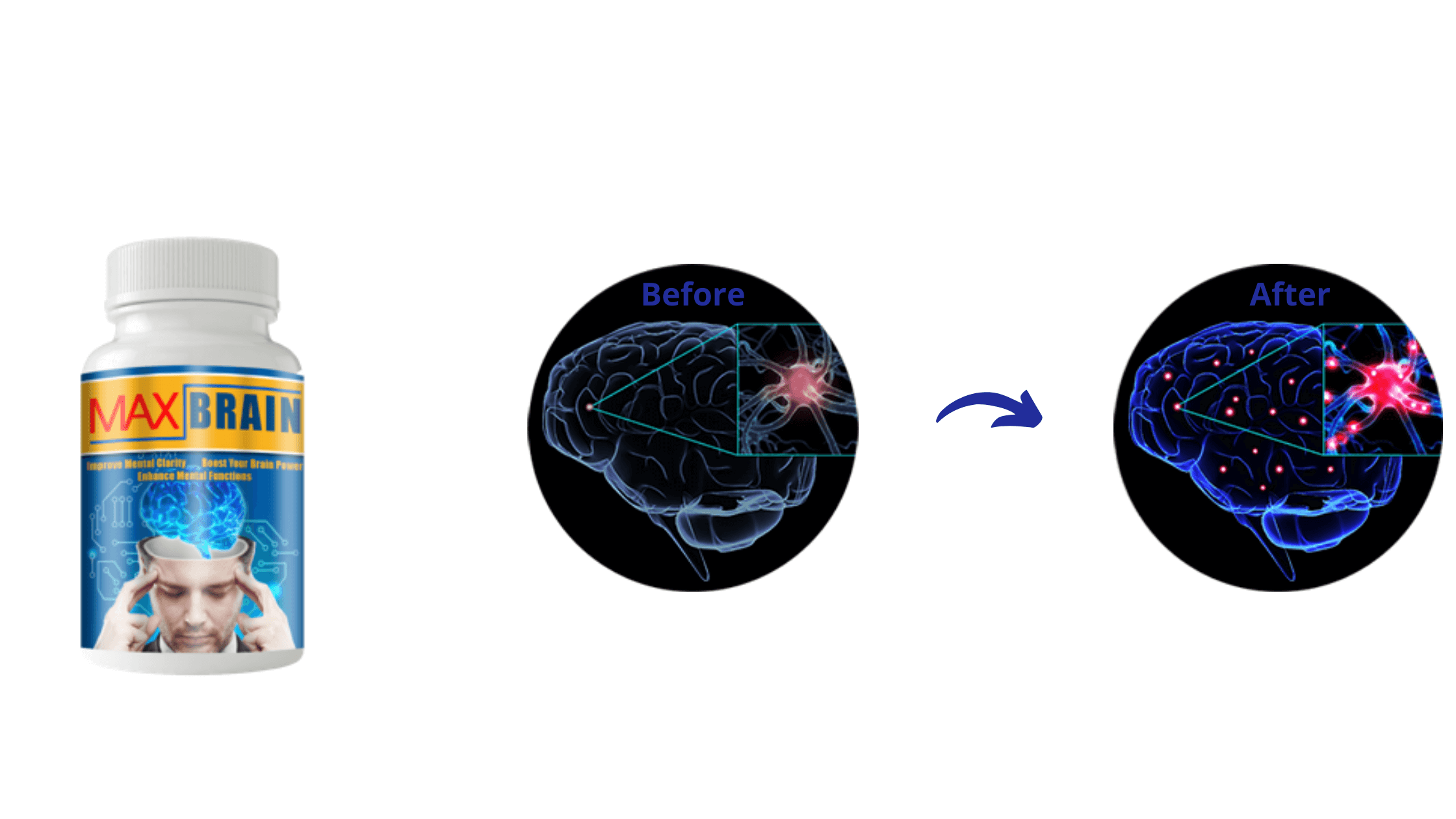 Max Brain Results