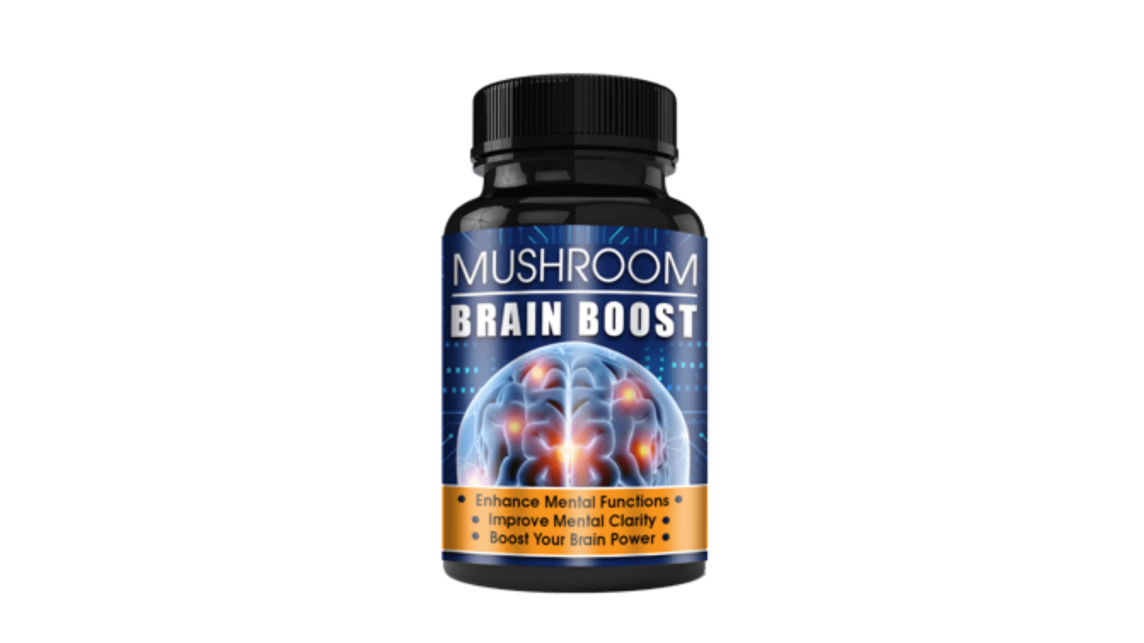 Mushroom Brain Focus Review